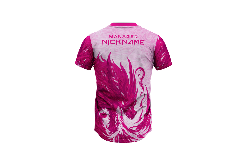 Design Your Gaming Jersey – Custom Name, Logo & Flag